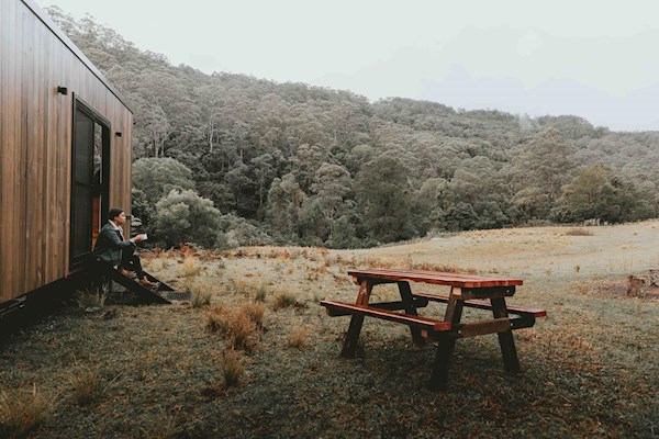 A cabin in the woods